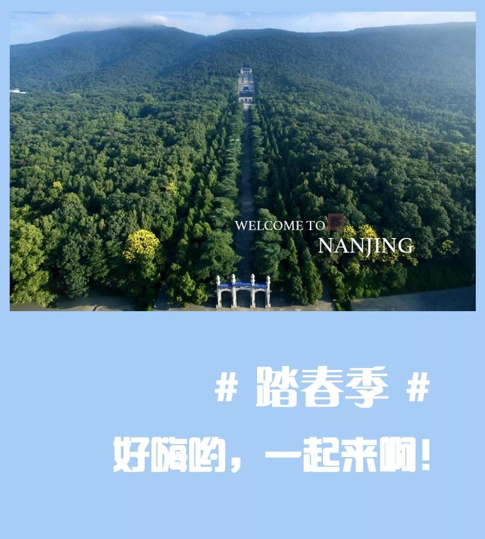 安排上了，南京新華邀你共赴免費體驗營