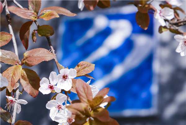 春暖花開，等你歸來——邀你云賞南新春景，以慰思念